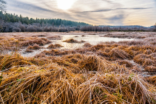 Herbst im Brackvenn