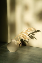 Dry spikelets stem in clay light vase on wooden surface on textured wall background with hard shadows. Composition for summer mood on the day off.