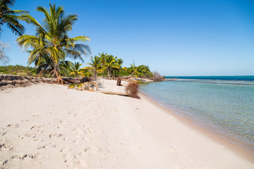 Fototapeta na wymiar beach in Mozambique