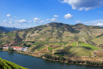 Douro Valley landscape