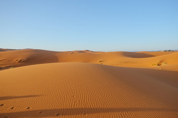 Fototapeta na wymiar Erg Chebbi sand dunes against clear blue sky background in Sahara desert. Merzouga, Morocco.