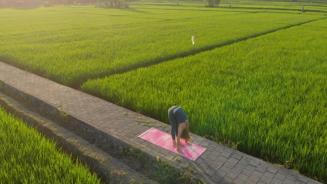 Aerial shot of a young woman practicing yoga on a big beautiful rice field during sunset. Travel to Asia concept.