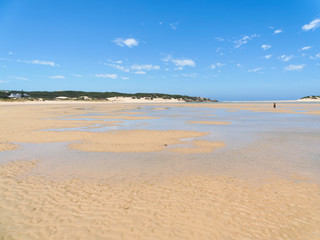 Low tide on the wide expanse of the Bushman's River estuary at Kenton-on-Sea, South Africa.