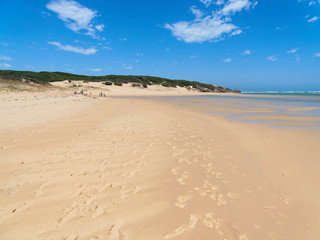Fototapeta na wymiar Sand dunes line the banks of the Bushman's River estuary where it meets the Southern Ocean.