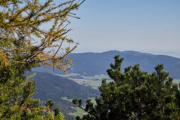 Fototapeta na wymiar Mountain peaks visible through the trees on a good summer day