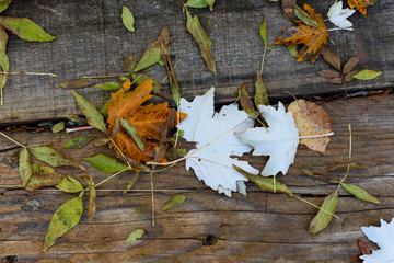 feuilles mortes sur des planches en bois. dead leaves on wooden boards.