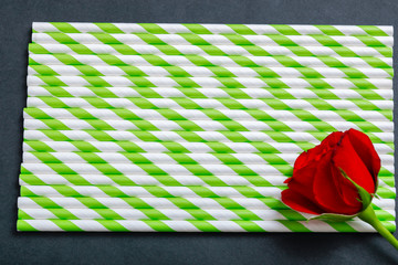 Little heart and Red rose with copy space frame. Valentine day concept 