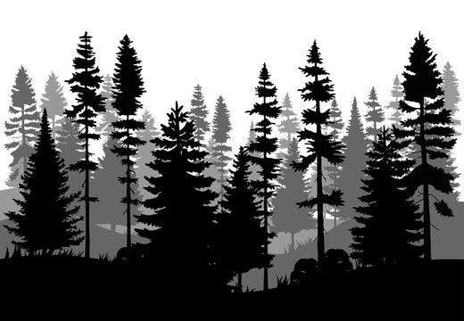 silhouette of trees in sunset.Vector EPS 10.