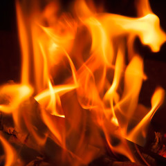  Fire flame background as symbol of inferno