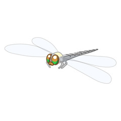 vector cartoon insect clip art
