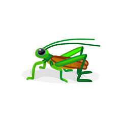 vector cartoon insect clip art