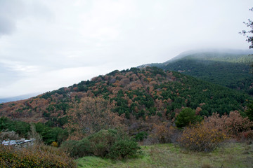 Fototapeta na wymiar Parque Nacional Sierra de Guadarrama. Madrid