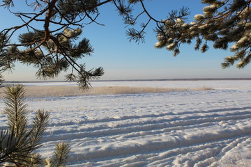 Winter field
