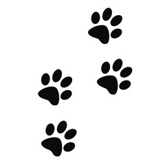 Animal track paw prints footprints icon sign on a white background design template.