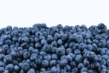 Fresh blueberry background. Texture blueberry berries close up.