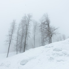 Foggy day in Caucasus highlands. Winter in Rosa Khutor.