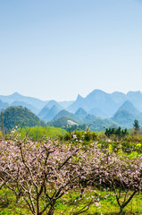 Countryside landscape with mountain in spring