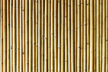 Brown bamboo stick wall. Asian natural jungle fence background.