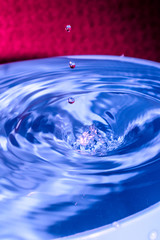 Three drops of water falling on a pond macrophotography