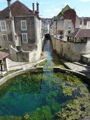 La Fosse Dionne in Tonnerre
