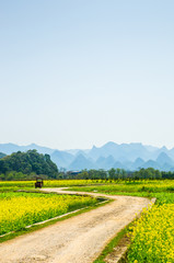 The road in the countryside with mountains 