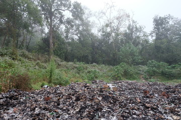 MAEHONGSON PROVINCE, THAILAND-DECEMBER 21 2016, Waste from household in waste landfill. Waste burning in dumping site in THAILAND