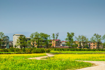 Countryside landscape with mountain in spring