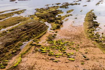 Playa la Concha - Santander - Detailaufnahme Felsen im Wasser bei Ebbe