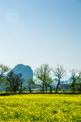 Fototapeta na wymiar Countryside landscape with mountain in spring