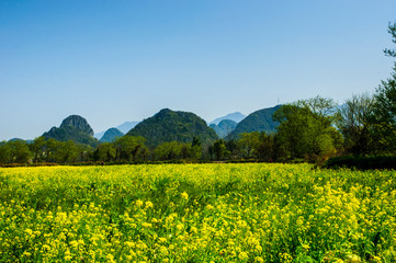 Countryside scenery in spring season