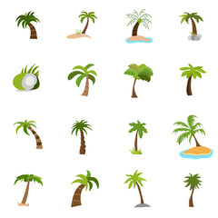 Palm Trees Collection, Tropical Forest, Landscape Design Element Vector Illustration.Green coconut palm icon isolated on white background