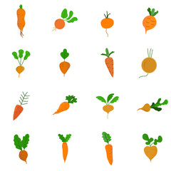 Seamless carrot background. Can be used for wallpaper, web page background, surface textures.Vector illustration of seamless texture with carote.