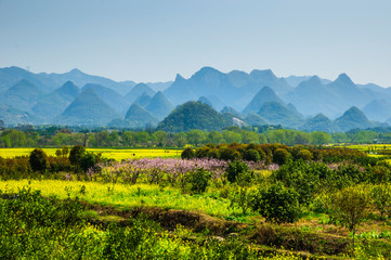 Countryside landscape with mountain in spring