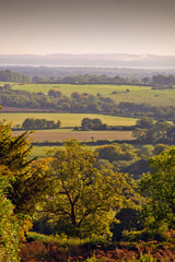 South Downs in Hampshire from Beacon Hill, England, United Kingdom