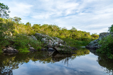 Fototapeta na wymiar Natural park for hiking trips in indigenous vegetation of South America in Uruguay