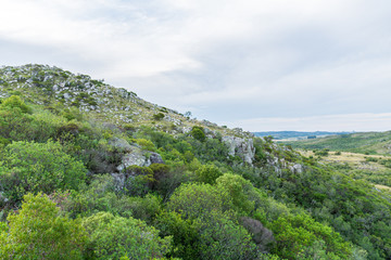 Fototapeta premium Natural park for hiking trips in indigenous vegetation of South America in Uruguay