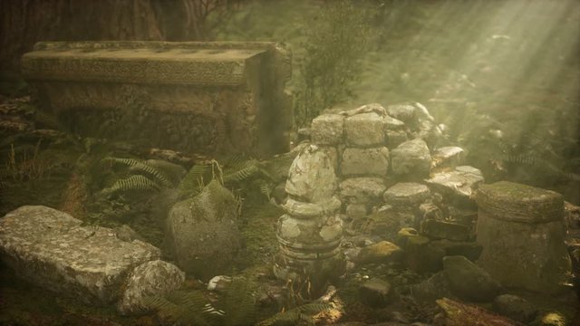 Hoary ruins of ancient city in pine forest