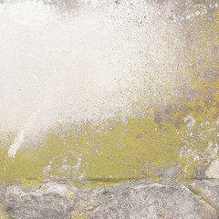 drawn by the hand of nature