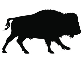 Running American Bison Bull Silhouette Side View