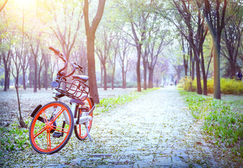 Bicycle with red wheels in the park.