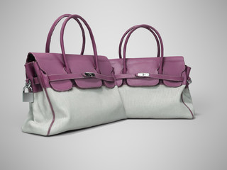 3D rendering two violet old bag for grandmother isolated on gray background with shadow