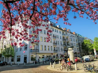 Cercles muraux Berlin fleur de cerisier à berlin prenzlauer berg, allemagne