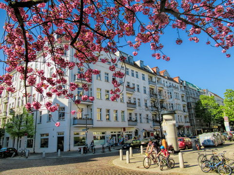 kirschbl&uuml;te in berlin prenzlauer berg, deutschland
