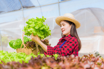 Farmer selling organic veg at market