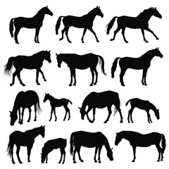 Wild Horses Herd Silhouette Set