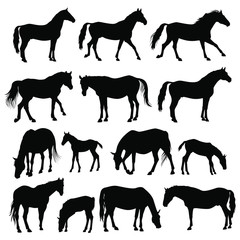 Obraz premium Wild Horses Herd Silhouette Set