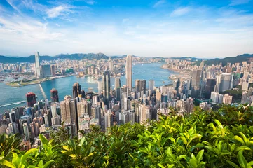 Foto op Plexiglas Hong Kong cityscape seen from Lugard Road on Victoria Peak © Stripped Pixel