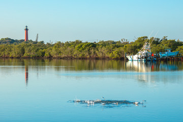 Jupiter Inlet Lighthouse © Henryk Sadura
