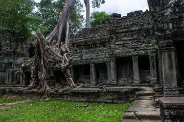 Fototapeta premium ruins of temple in cambodia