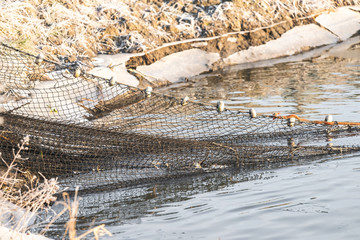 Several fishermen pull in his nets full of fish during the winter period